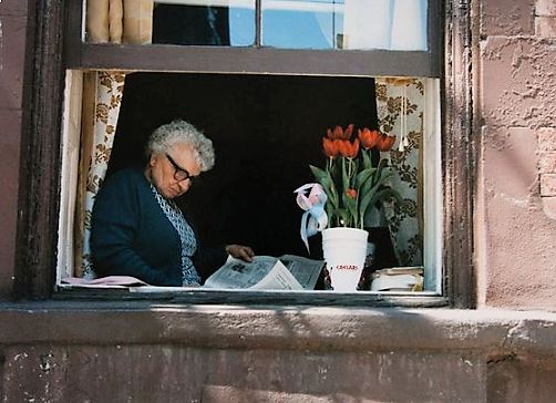 Gammel dame ved vinduet som leser avis. Blomsterpotte på vinduet.