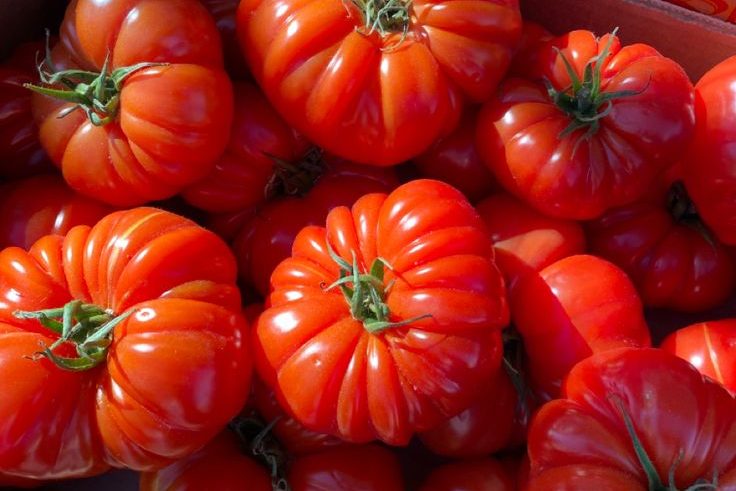 markeder: verdens eldste sosiale nettverk